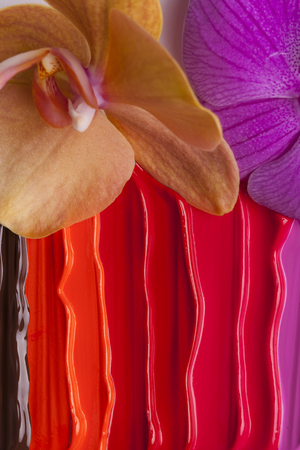 Sample of cosmetics for advertising.の写真素材