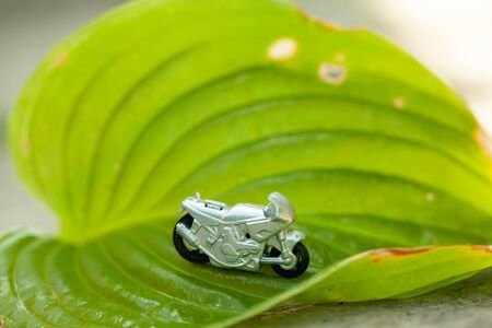 Small toy gray sport bike on nature close-upの写真素材