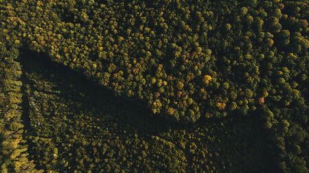 High-altitude photography of green forest and nature.の写真素材