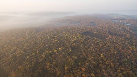 Photo of an autumn forest aerial view at sunset.