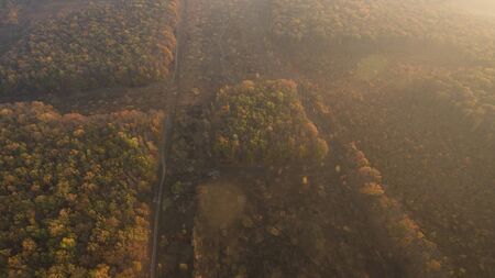 Photo of an autumn forest aerial view at sunset.
