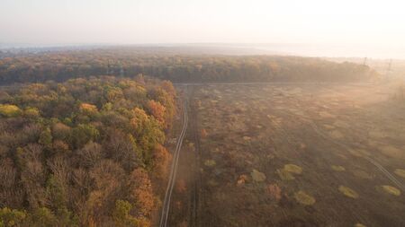 The road among the autumn forest at sunset.