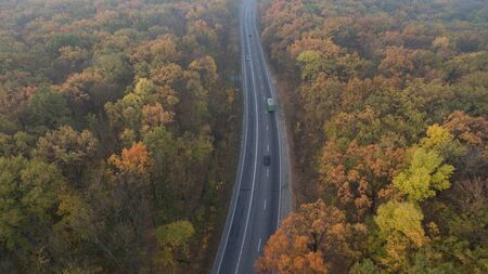 The road among the autumn forest at sunset.