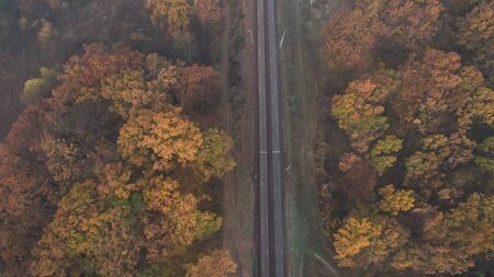 Photo of an autumn forest aerial view at sunset.