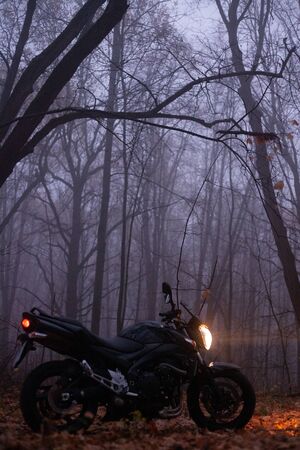One black motorcycle in the desert in autumn time.の写真素材
