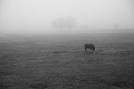 Photo taken while traveling in Iran.の写真素材