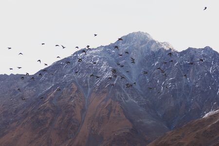 Photo taken while traveling in Iran.の写真素材