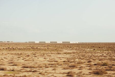 Photo taken while traveling in Iran.の写真素材