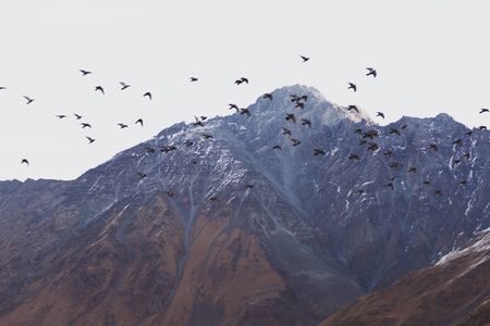 Photo taken while traveling in Georgia.の写真素材
