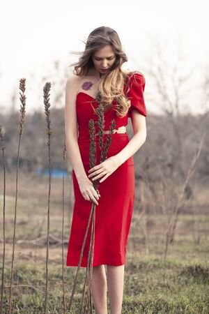 Gorgeous and stylish brunette in a red dress in the garden.の写真素材