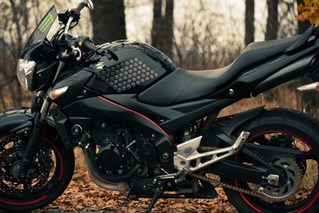 Black stylish sport motorcycle in autumn forest.のeditorial素材