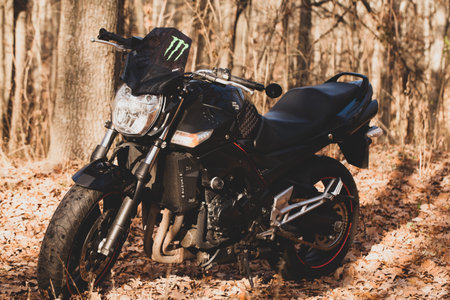 Black stylish sport motorcycle in autumn forest.のeditorial素材