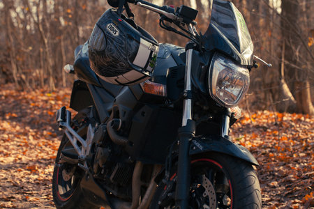 Black stylish sport motorcycle in autumn forest.のeditorial素材