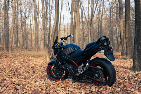 Black stylish sport motorcycle in autumn forest.のeditorial素材