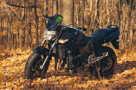 Black stylish sport motorcycle in autumn forest.のeditorial素材