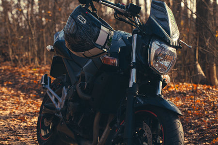 Black stylish sport motorcycle in autumn forest.のeditorial素材