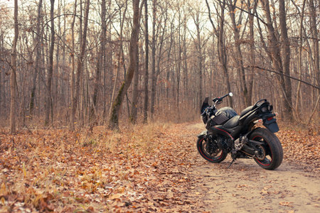 Black stylish sport motorcycle in autumn forest.のeditorial素材