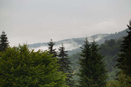 Beautiful clouds high in the mountains.の写真素材