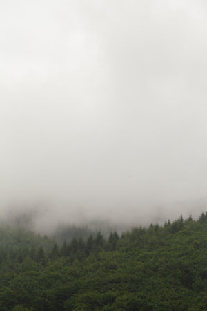 Beautiful clouds high in the mountains.の写真素材