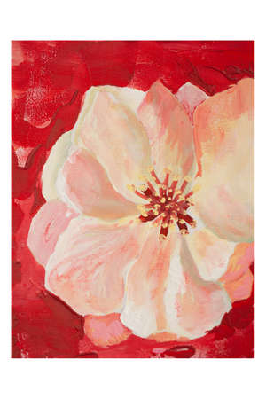 Painting a beautiful flower on a plain background.の写真素材