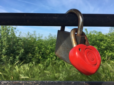 love padlocks on a nature background closeup