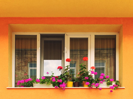 Modern window on a vibrant colorful house wall with pot flowersの写真素材
