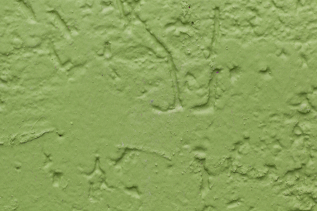Green flat rough painted wall. Seamless texture. Used as a background. Copy space for your text.の写真素材