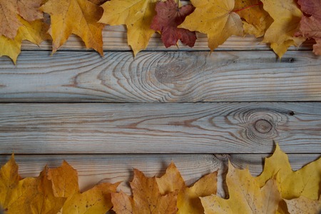 Dry autumn leaves are lying on a wooden desk. Copy space for your text.の写真素材