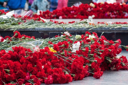 Sea of red carnations at the memorial to fallen soldiers in the world war II. Victory in Europe Day.の写真素材