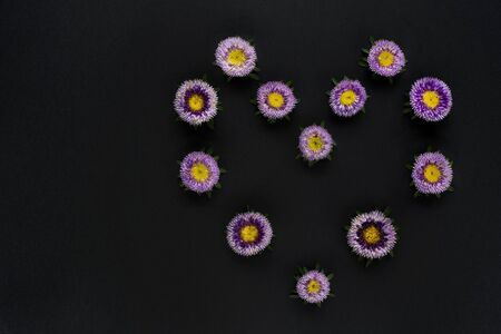 Abstract flower heart from callistephus chinensis. Isolated on a dark background. Can be used for banners, invitations, postcards. Flat lay.の写真素材