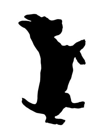 Black dog silhouette. Jack russell terrier puppy is standing on his hind legs. Pet animals. Isolated on a white background. Vector illustration.のイラスト素材