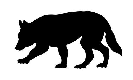 White swiss shepherd dog puppy is walking and siffing out traces. Black dog silhouette. Pet animals. Isolated on a white background. Vector illustration.のイラスト素材