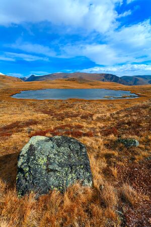 bigger a stone in the field with the lakeの写真素材