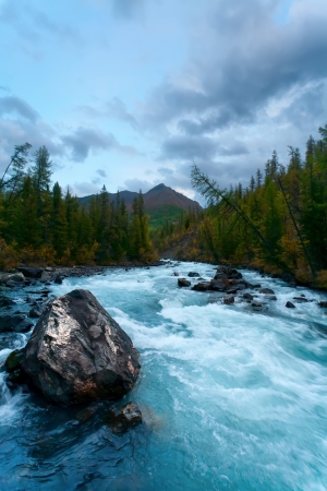 Mountain river in the evening, wood, Altai, Russiaの写真素材