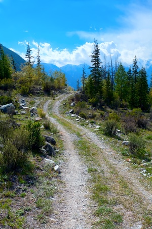 the mountain road with trees and mountains on a backgroundの写真素材