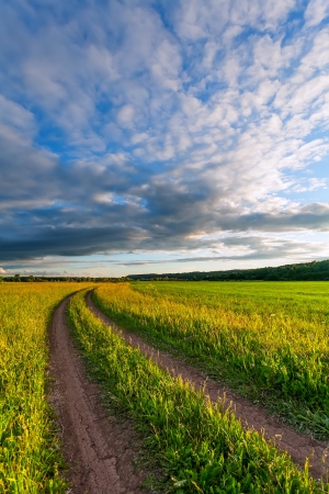 the rural road on a green meadow  Russia の写真素材
