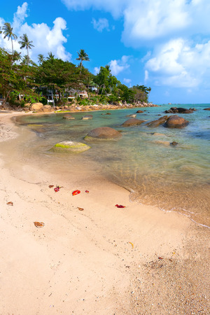 Tropical Paradise with Turquoise Water and Lush Greenery - Lovely Beach on an islandの写真素材