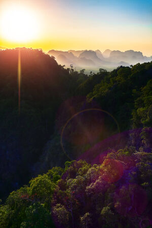 The sun glare in the evening in the jungleの写真素材