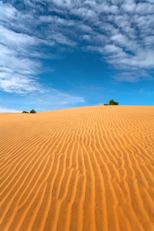 sand dune and cloudsの写真素材