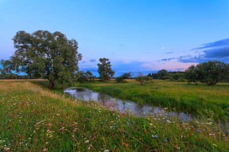 Meadow and trees with the river in twilight.の写真素材