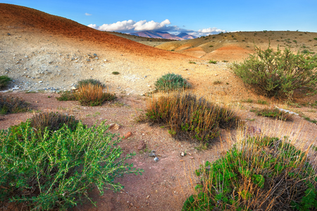 Desert clay with colour at sunset. Rare shrubs with green grass. Mountains and clouds in the background.の写真素材