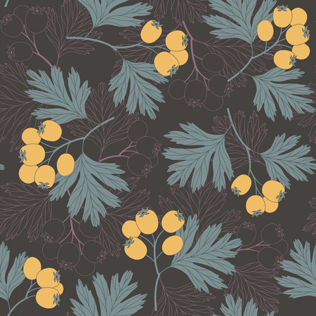 hawthorn berries on a dark background in seamless pattern