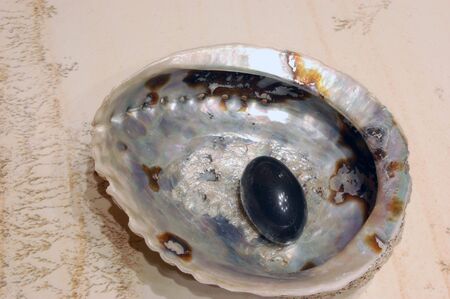 shell & pearlの写真素材