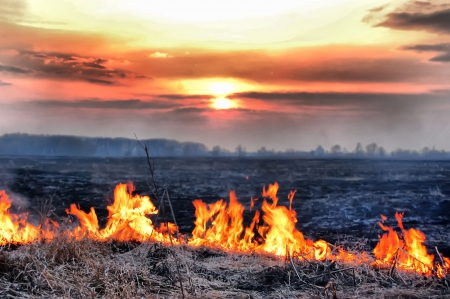 Fire of grass at sunset 