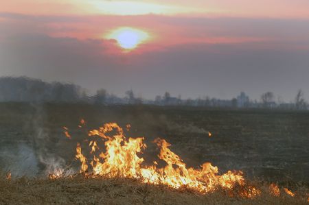 Fire of grass at sunset の写真素材