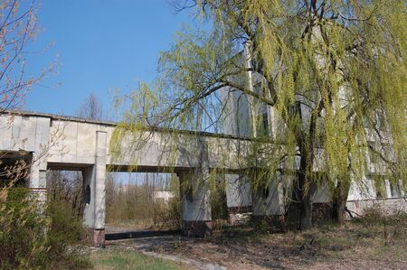 APR. 25,2009 Chernobyl area. Lost city Pripyat. Modern ruins. Ukraine. Kiev region.April 25,2009 のeditorial素材