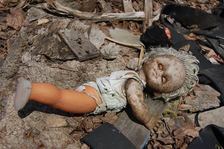 PR. 25,2009 Chernobyl area. Lost city Pripyat. Modern ruins. Ukraine. Kiev region.April 25,2009 のeditorial素材