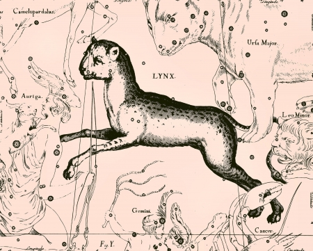 Constellation vintage mapのeditorial素材