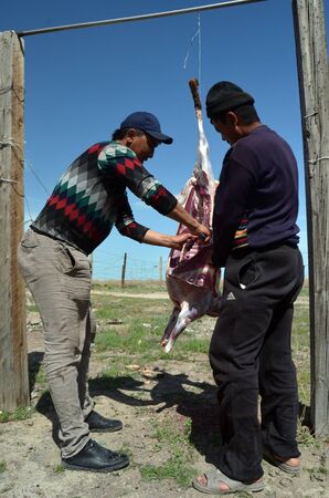 Area 38. (Ploshadka 38 ru.) People slaughtering a sheep on ruins space communication center.Sary Shagan.Former anti-ballistic missile testing range.Kazakhstan.May 6, 2017.Sary Shagan.Kazakhstanのeditorial素材