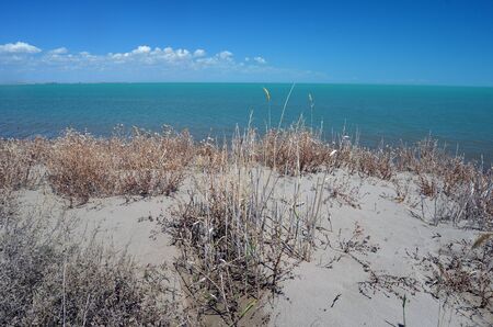 Balkhash lake, central Kazakhstan. Near Priozersk - former Soviet anti-ballistic missile testing range Sary Shaganの写真素材